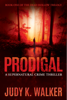 Judy K. Walker - Prodigal artwork