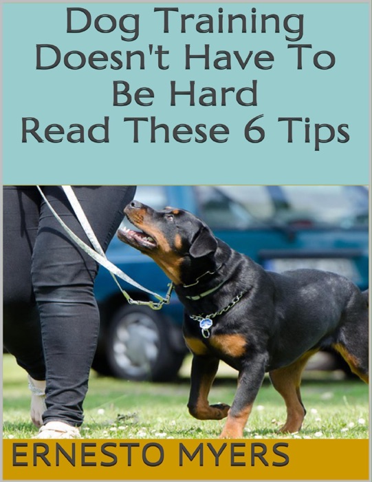 Dog Training Doesn't Have to Be Hard: Read These 6 Tips