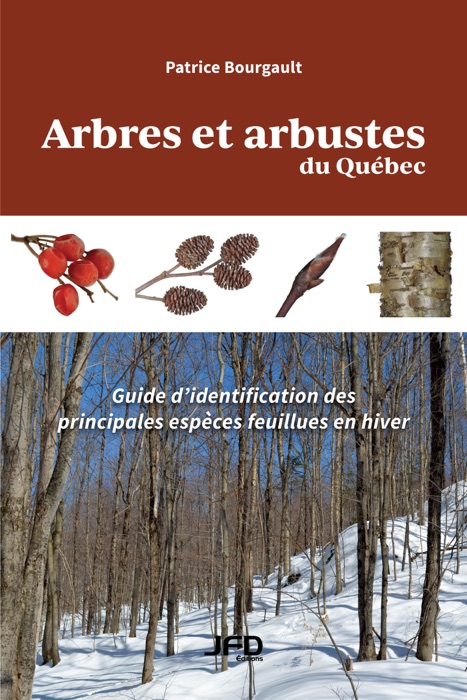 Arbres et arbustes du Québec : Guide d’identification des principales espèces feuillues en hiver