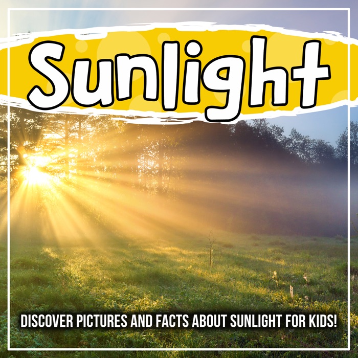 Sunlight: Discover Pictures and Facts About Sunlight For Kids!