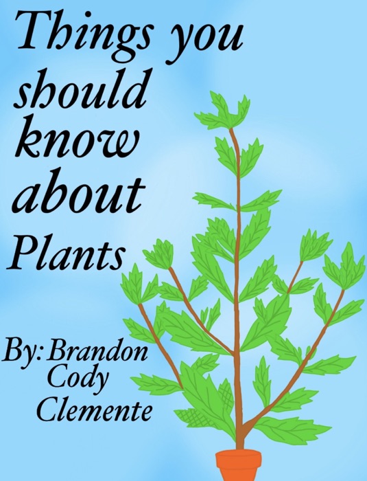 Things you should know about Plants