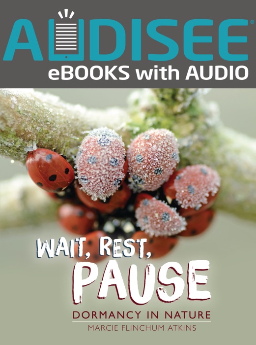 Wait, Rest, Pause (Enhanced Edition)