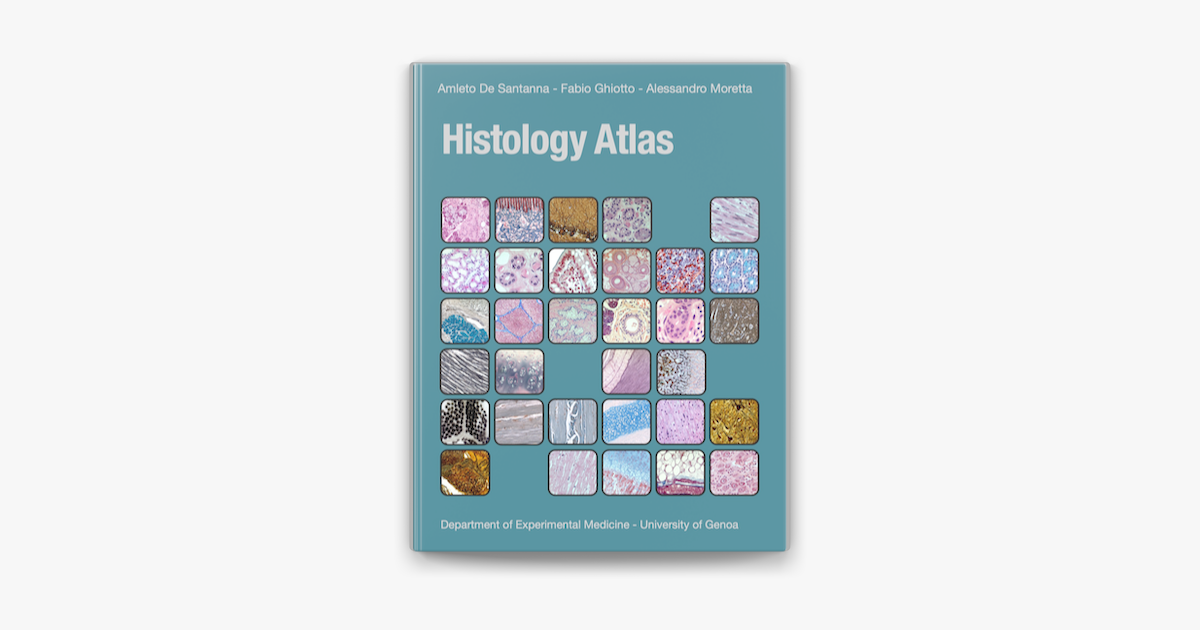 ‎histology Atlas On Apple Books