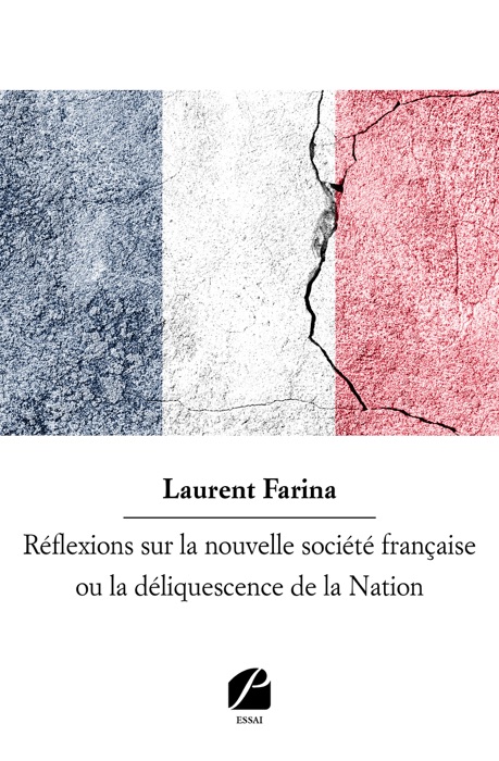 Réflexions sur la nouvelle société française ou la déliquescence de la Nation