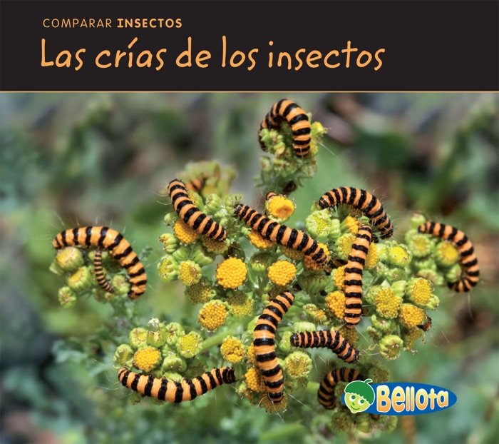 Las crías de los insectos