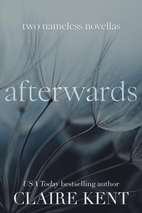 Afterwards: Two Nameless Novellas