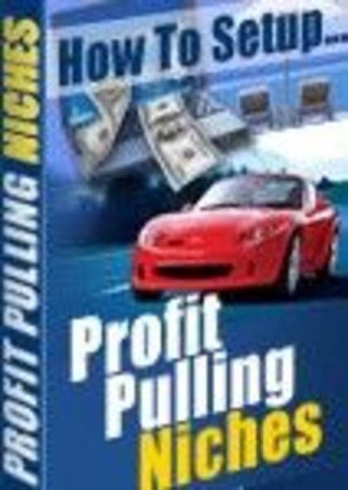 How To Setup Profit Pulling Niches
