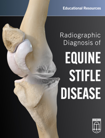 Radiographic Diagnosis of Equine Stifle Disease