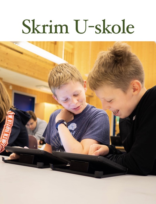 Skrim U-skole