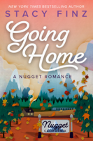 Stacy Finz - Going Home artwork