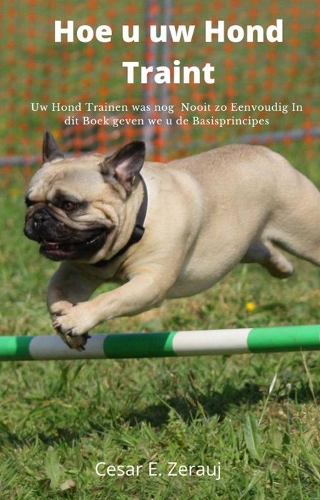 Hoe u uw Hond Traint Uw Hond Trainen was nog  Nooit zo Eenvoudig In dit Boek geven we u de Basisprincipes