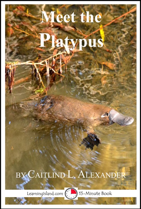 Meet the Platypus