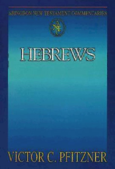 Abingdon New Testament Commentaries: Hebrews