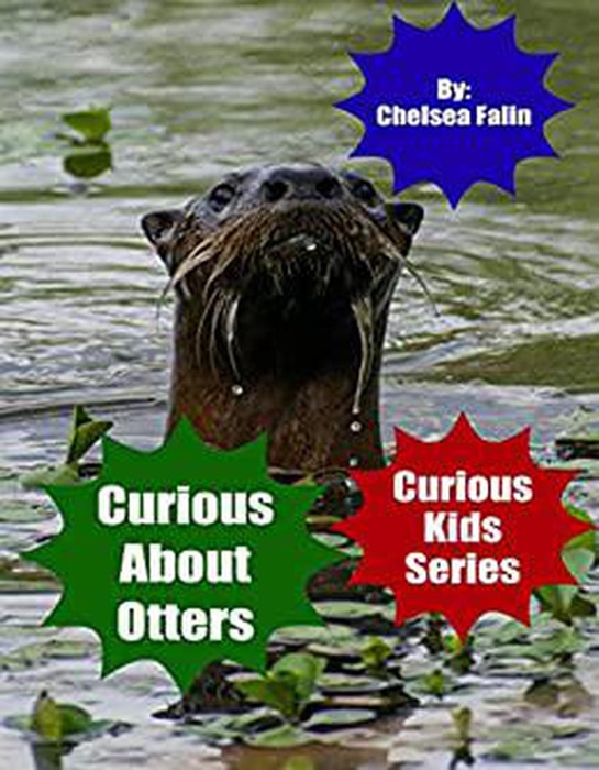 Curious About Otters