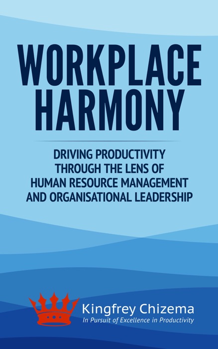 Workplace Harmony Driving Productivity Through the Lens of Human Resource  Management and Organisational Leadership