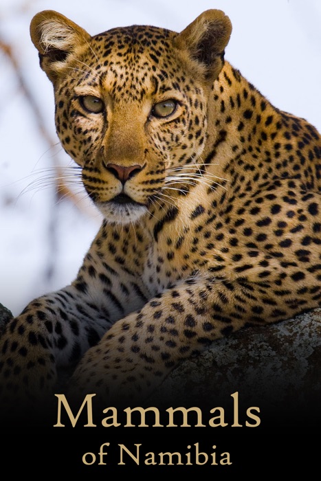 Mammals of Namibia