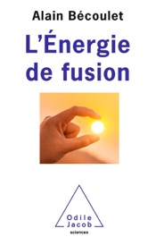 L'Énergie de fusion