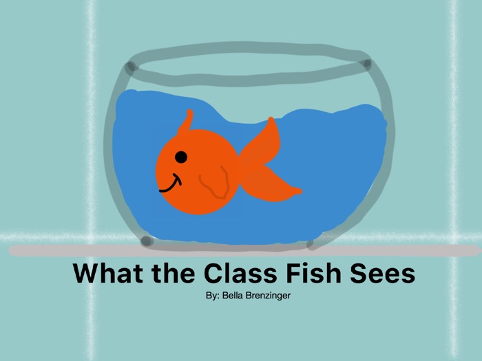 What the Class Fish Sees