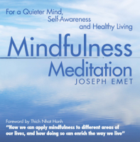 Joseph Emet - Mindfulness Meditation artwork