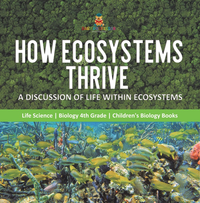 How Ecosystems Thrive : A Discussion of Life Within Ecosystems  Life Science  Biology 4th Grade  Children's Biology Books