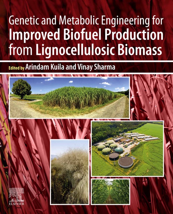 Genetic and Metabolic Engineering for Improved Biofuel Production from Lignocellulosic Biomass