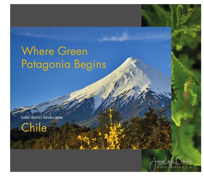 Where Green Patagonia Begins