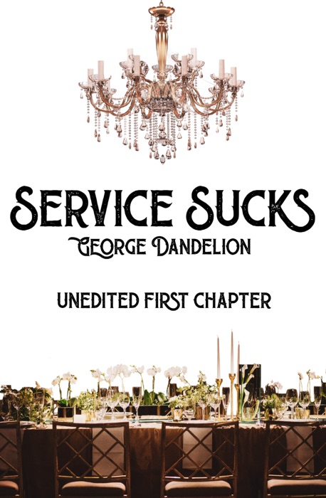 Service Sucks (First Chapter)