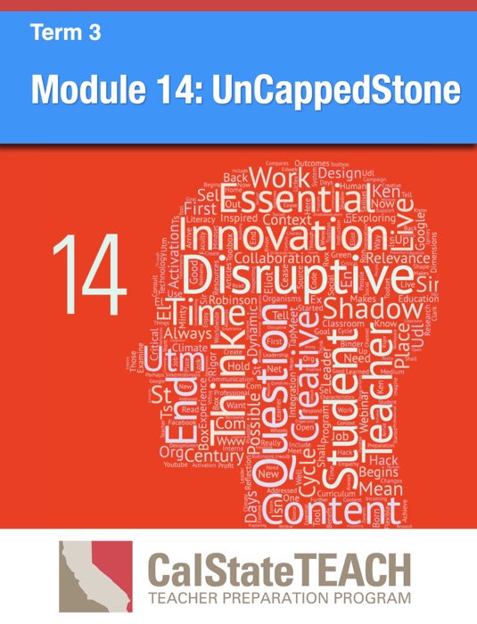 Module 14: UnCappedStone