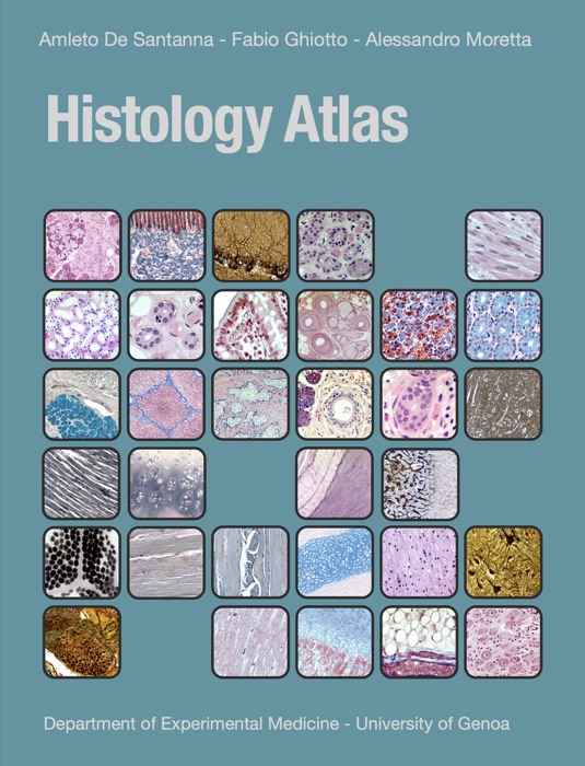 Histology Atlas