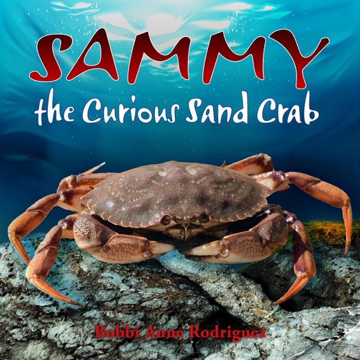 Sammy the Curious Sand Crab