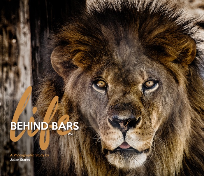 Life Behind Bars: Volume 1