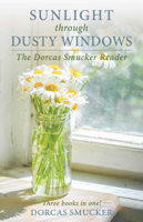 Dorcas Smucker - Sunlight Through Dusty Windows artwork