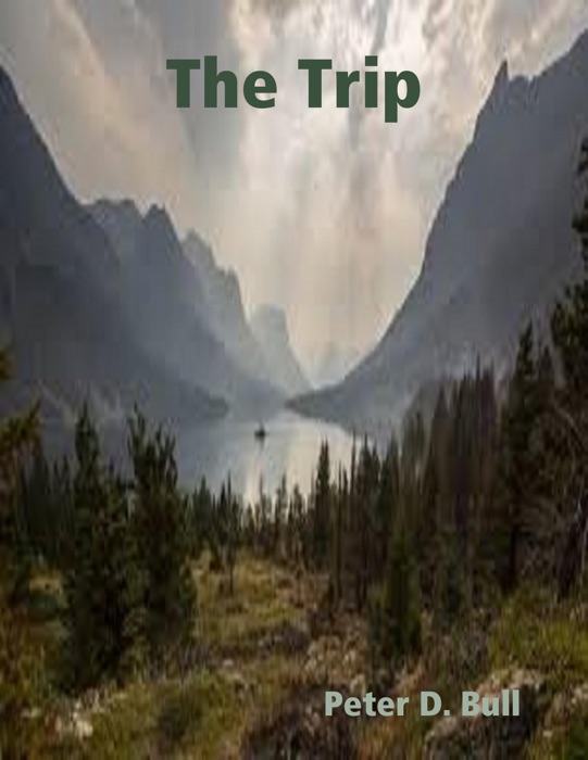 The Trip