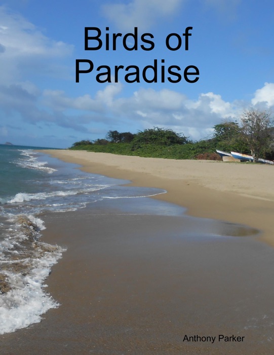 Birds of Paradise