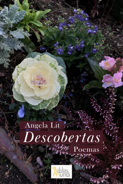 Descobertas Poemas