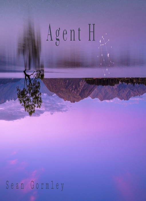 Agent (H)