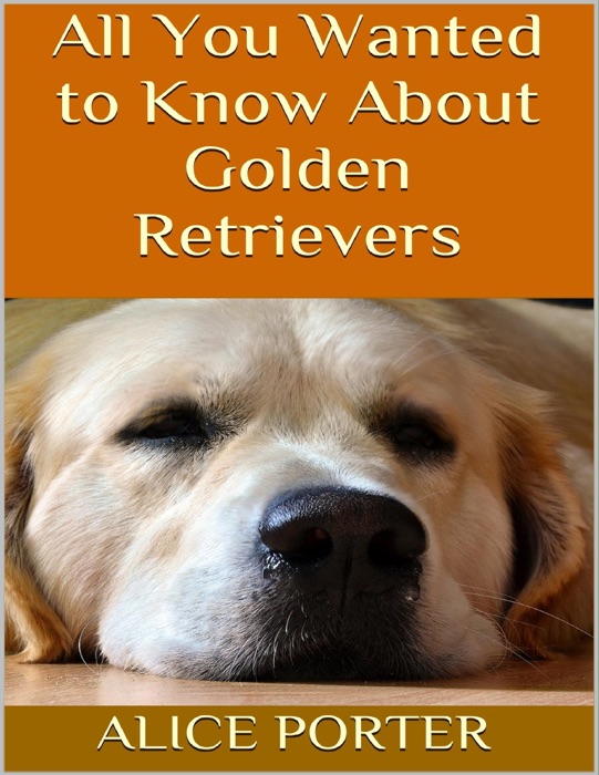 All You Wanted to Know About Golden Retrievers