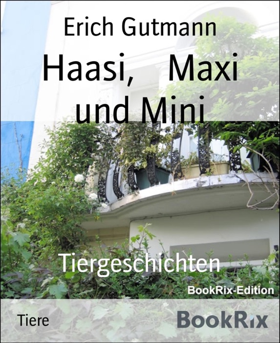 Haasi,    Maxi und Mini