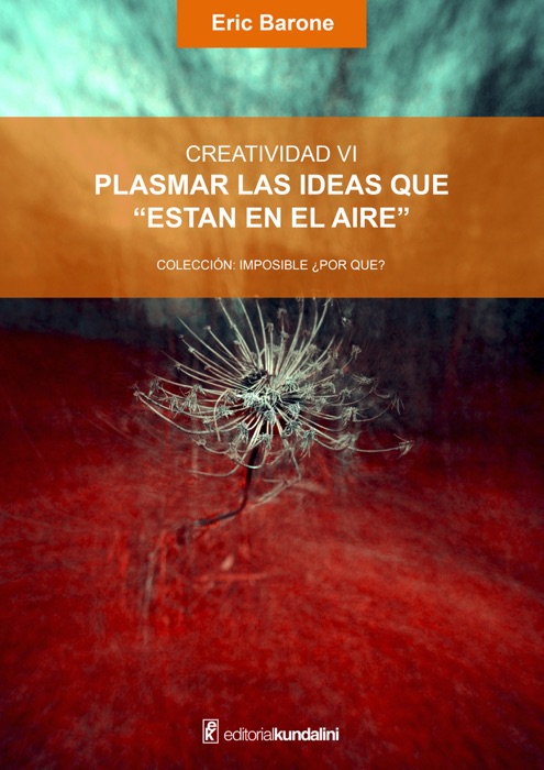 Plasmar las ideas que