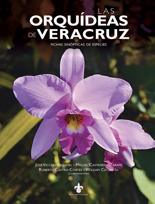 Las Orquídeas de Veracruz
