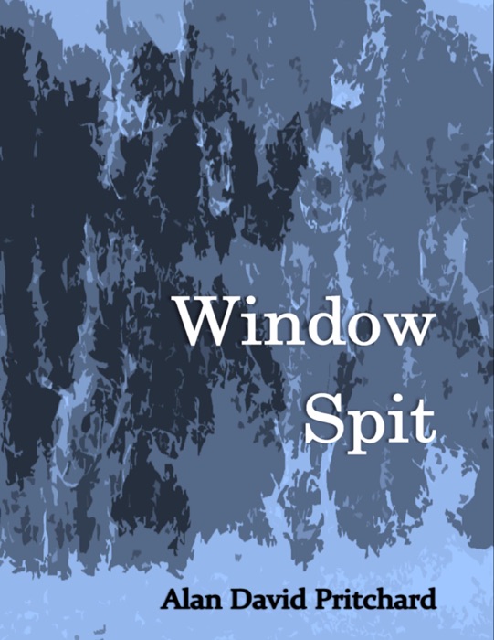 Window Spit