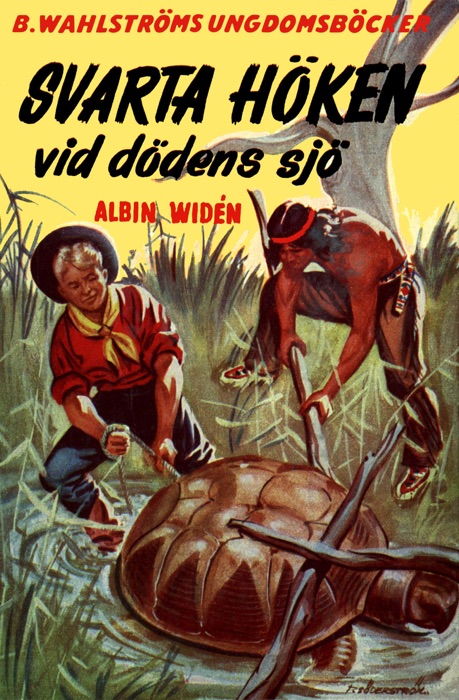 Svarta Höken 5 - Svarta Höken vid Dödens sjö