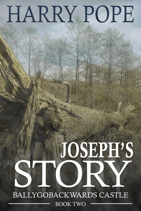 Joseph's Story