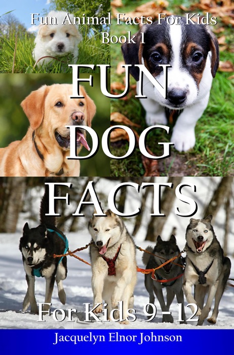 Fun Dog Facts for  Kids 9 - 12