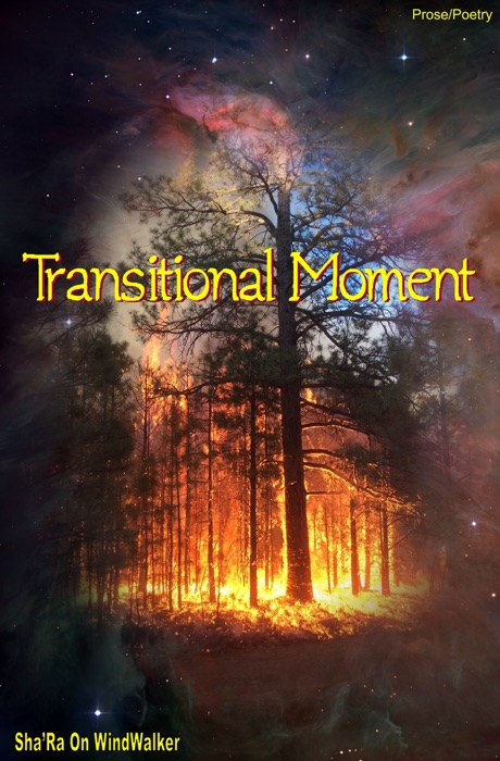 Transitional Moment