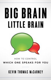Download Big Brain Little Brain