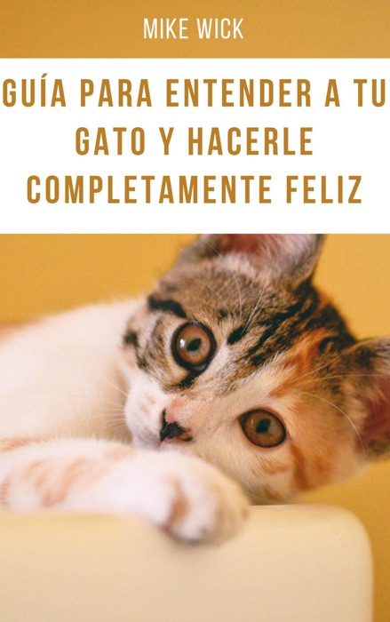 Guía para entender a tu gato y hacerle completamente feliz