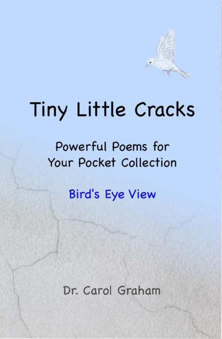 Tiny Little Cracks