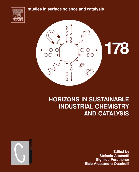 Horizons in Sustainable Industrial Chemistry and Catalysis