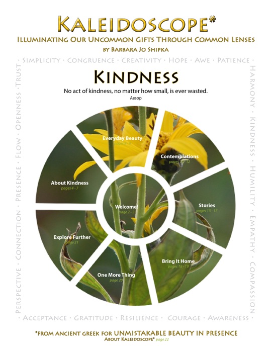 Kaleidoscope: Kindness